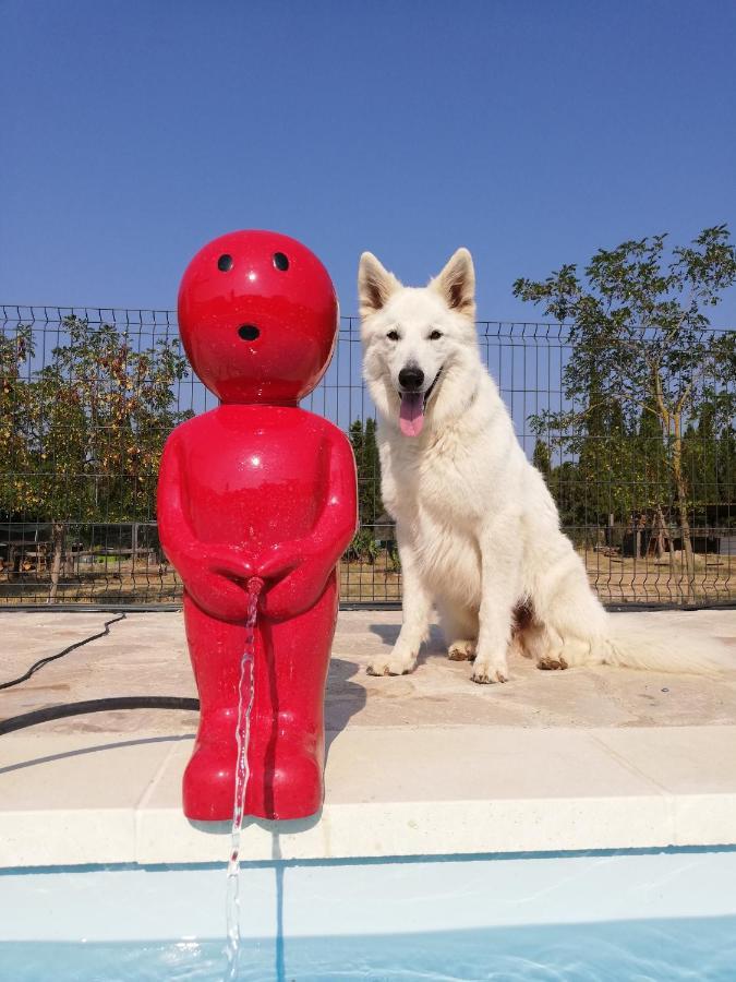 Allotjament i esmorzar Mas Del Llop Blanc - Dog Friendly Rural - Sobrestany