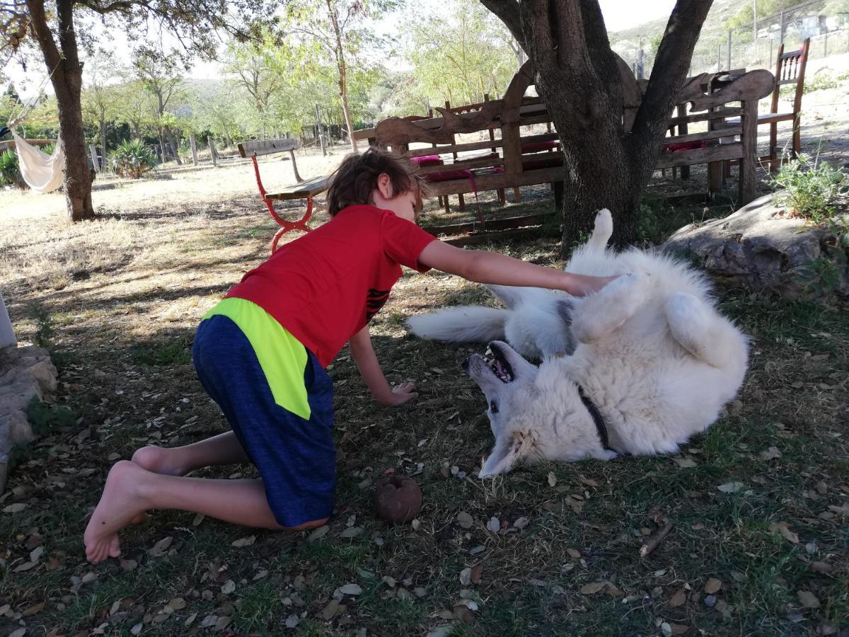 Mas Del Llop Blanc - Dog Friendly Rural - Allotjament i esmorzar