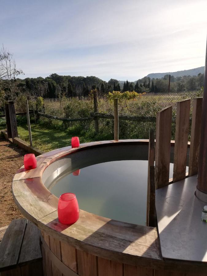 Mas Del Llop Blanc - Dog Friendly Rural - Allotjament i esmorzar Sobrestany