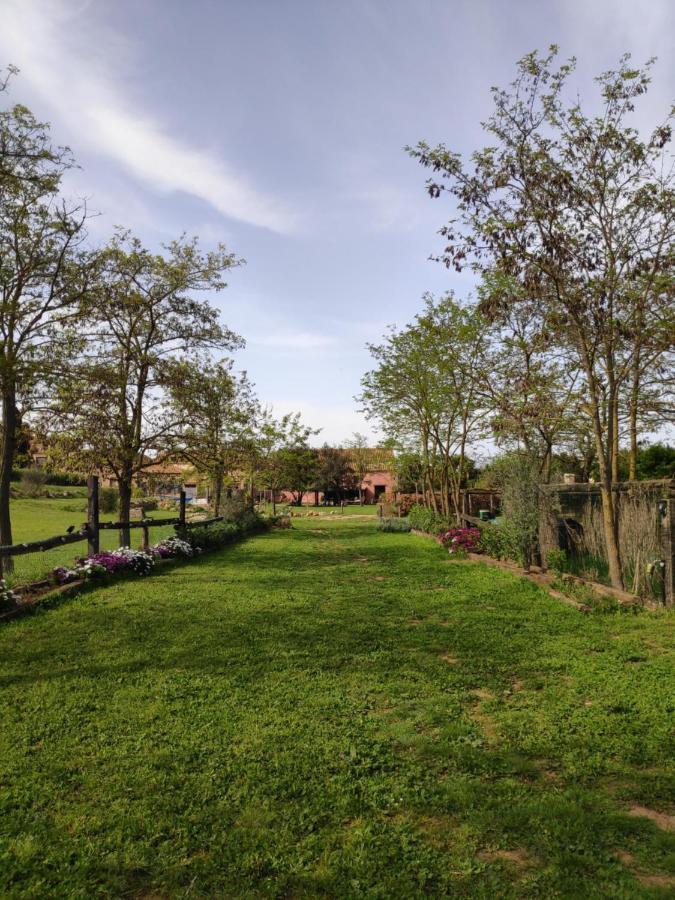 Mas Del Llop Blanc - Dog Friendly Rural - Allotjament i esmorzar Sobrestany