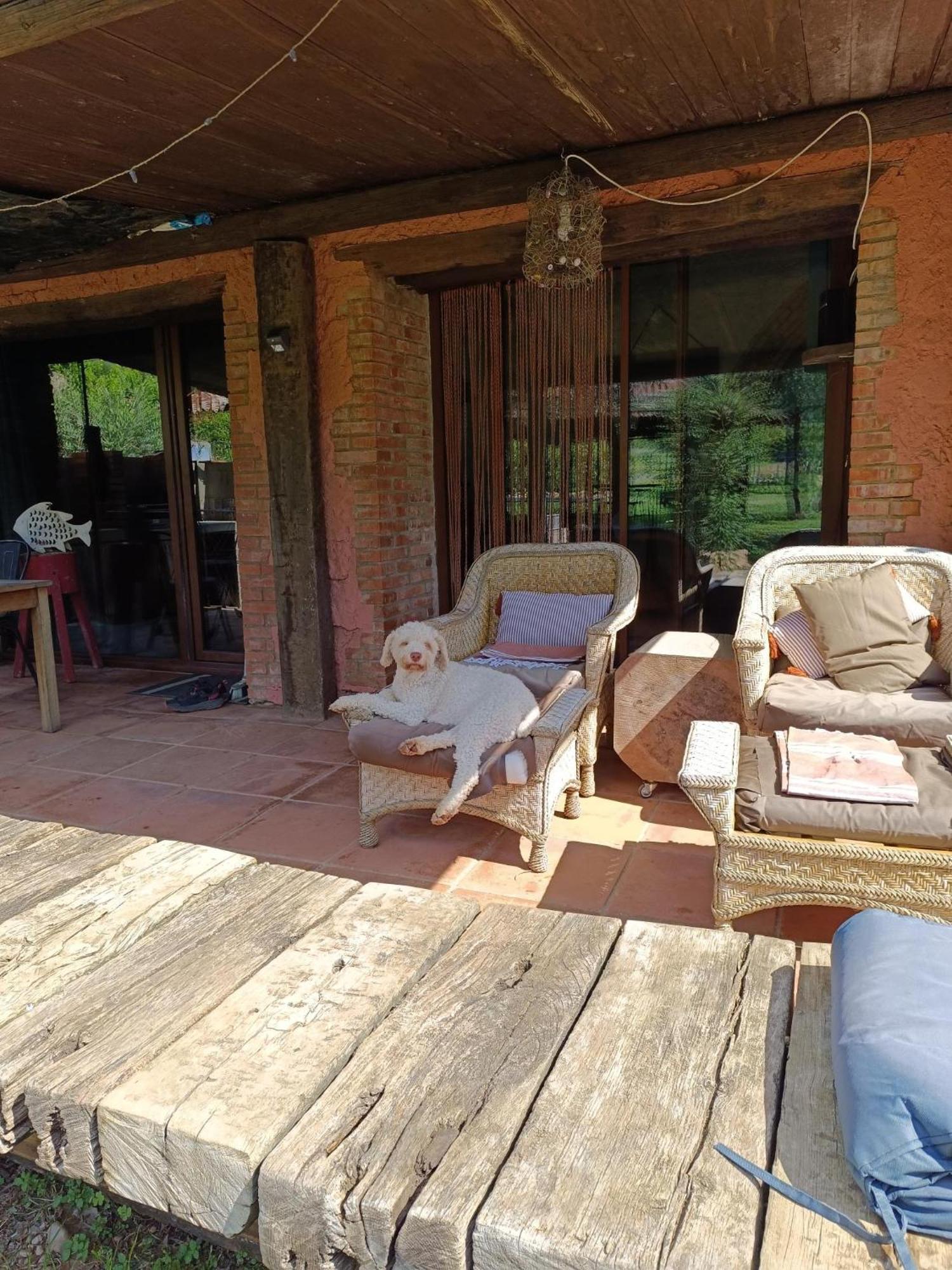 Mas Del Llop Blanc - Dog Friendly Rural - Sobrestany