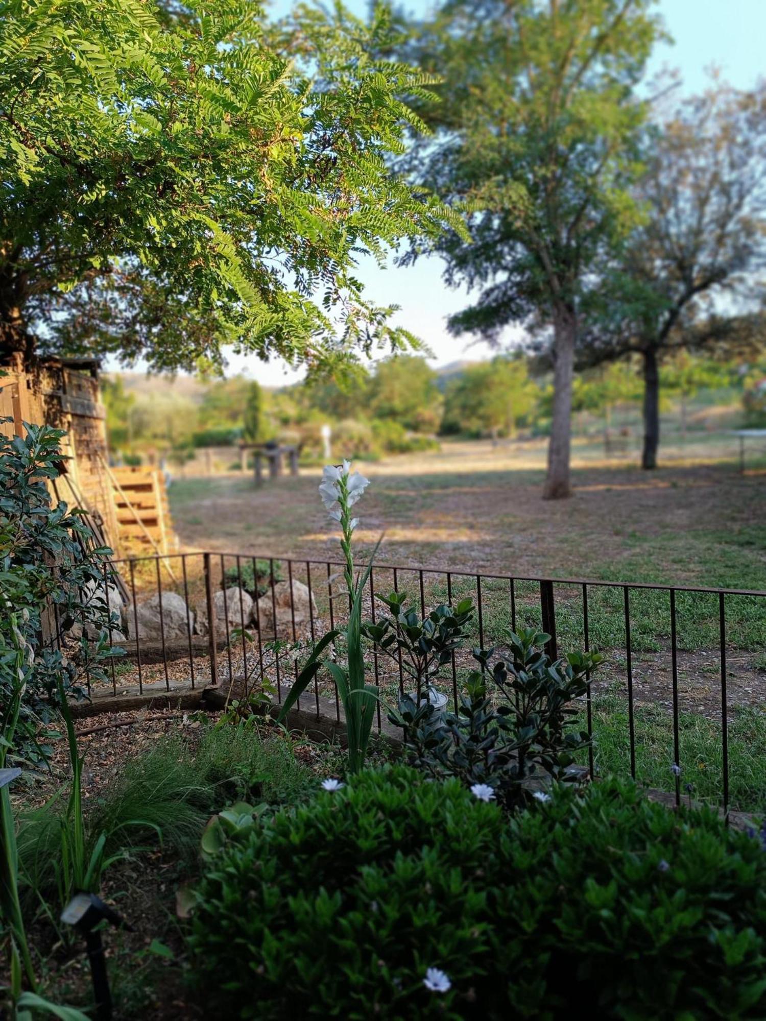 Mas Del Llop Blanc - Dog Friendly Rural - Sobrestany