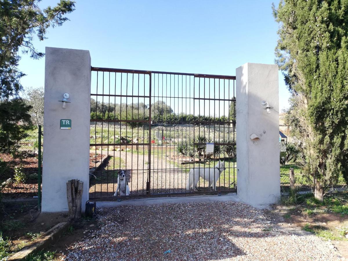 Mas Del Llop Blanc - Dog Friendly Rural - Bed & Breakfast Sobrestany