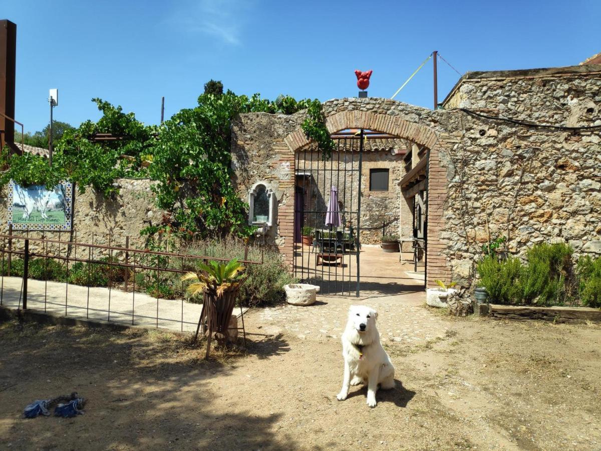 Mas Del Llop Blanc - Dog Friendly Rural - 3* Sobrestany